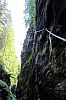 IMG_3533.JPG